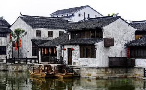 救援小棕兔